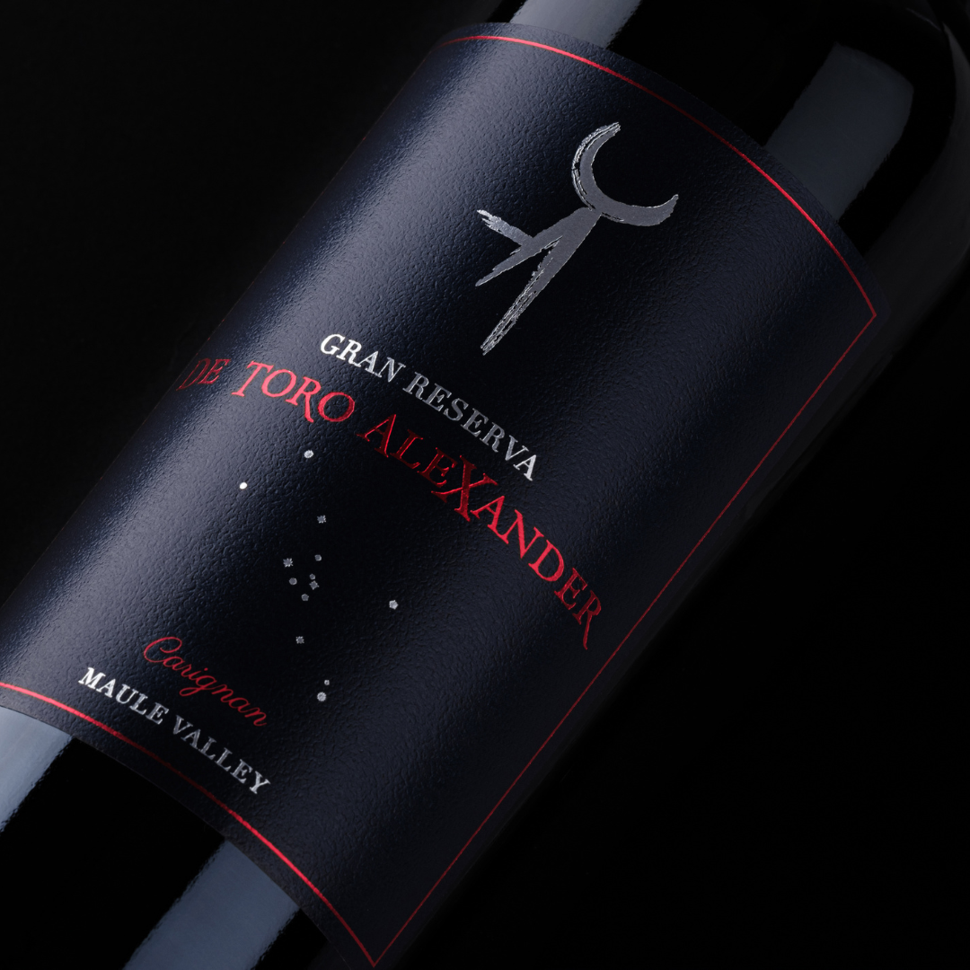 (Cajas 6 botellas) Carignan Gran Reserva 2021