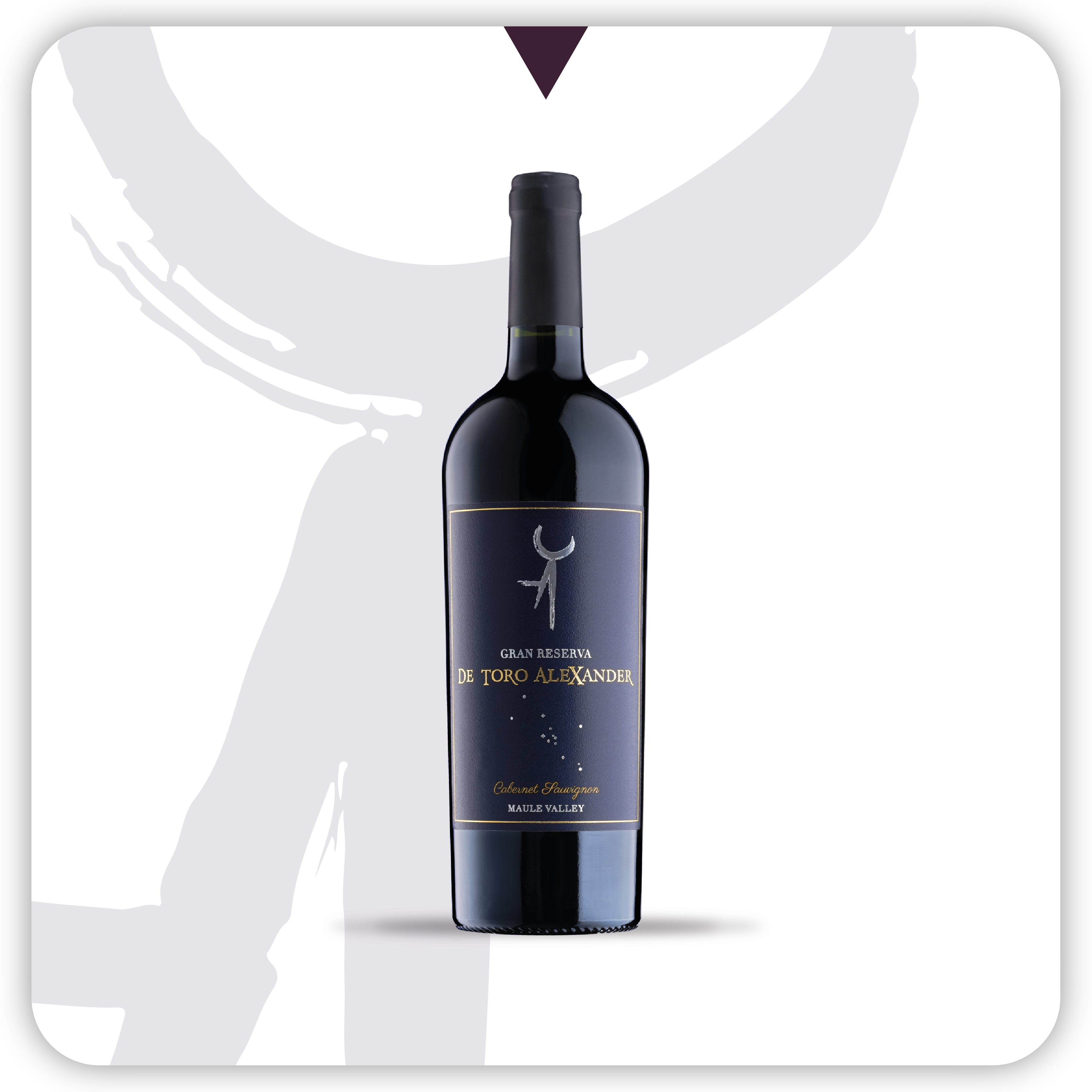 De Toro Alexander Cabernet Sauvignon Gran Reserva 2021 - 750 ml