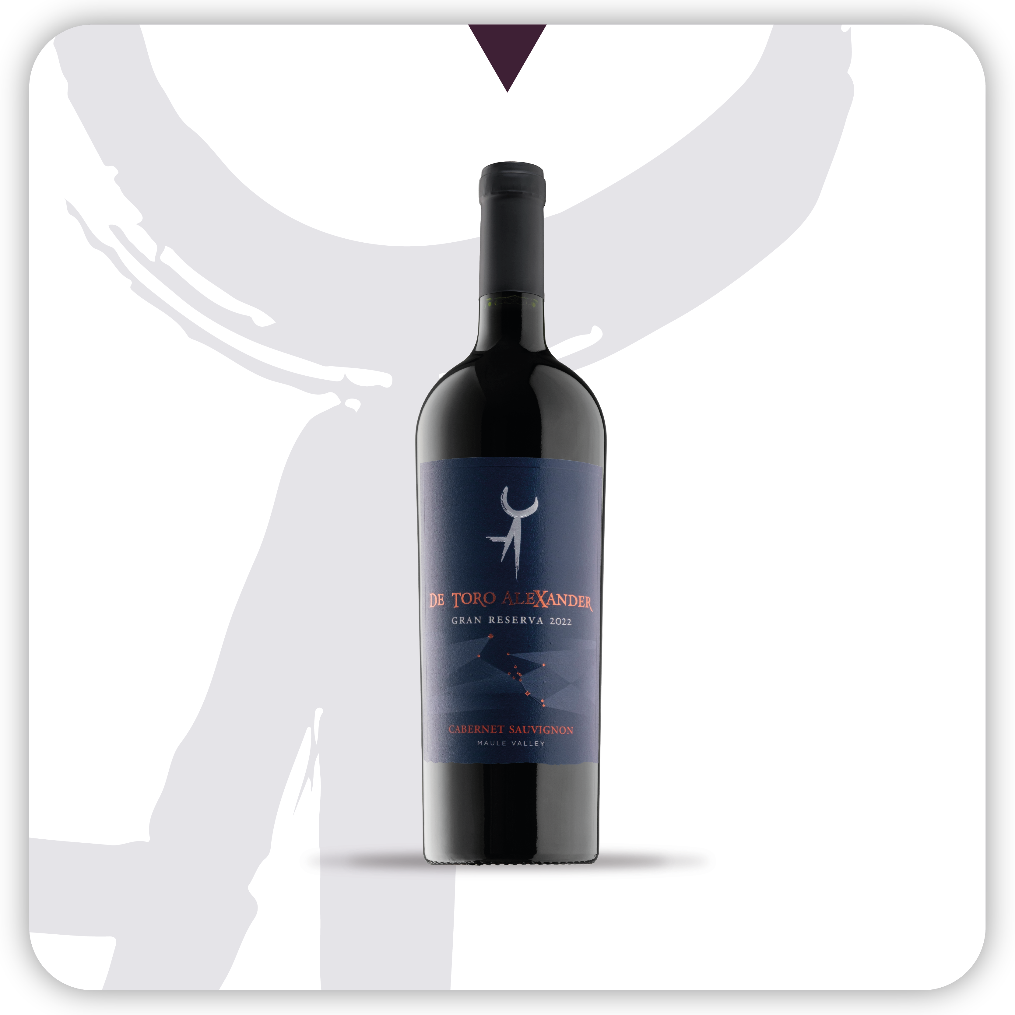 De Toro Alexander Cabernet Sauvignon Gran Reserva 2022 - 750 ml
