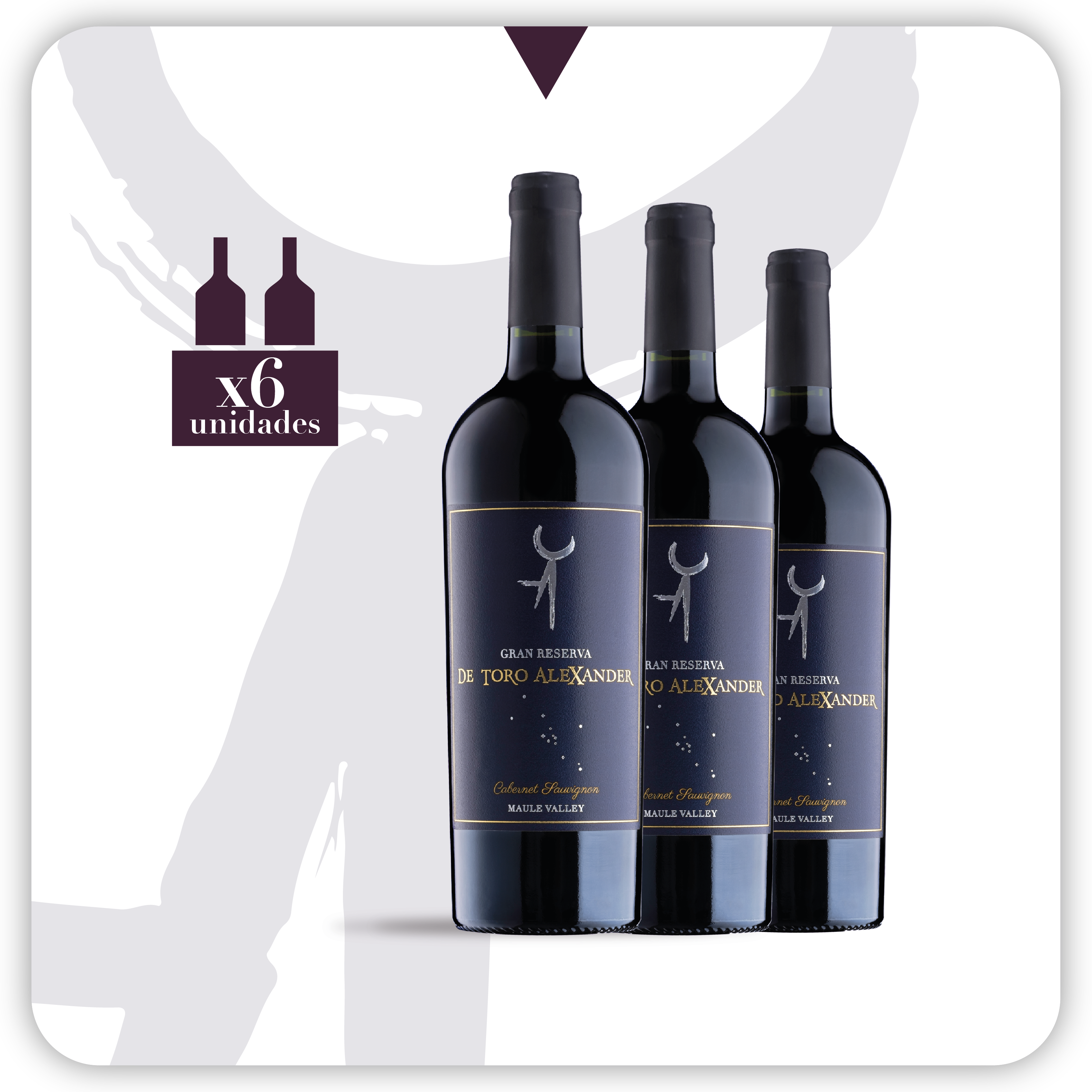 De Toro Alexander Cabernet Sauvignon Gran Reserva 2021 - 6 botellas 750 ml