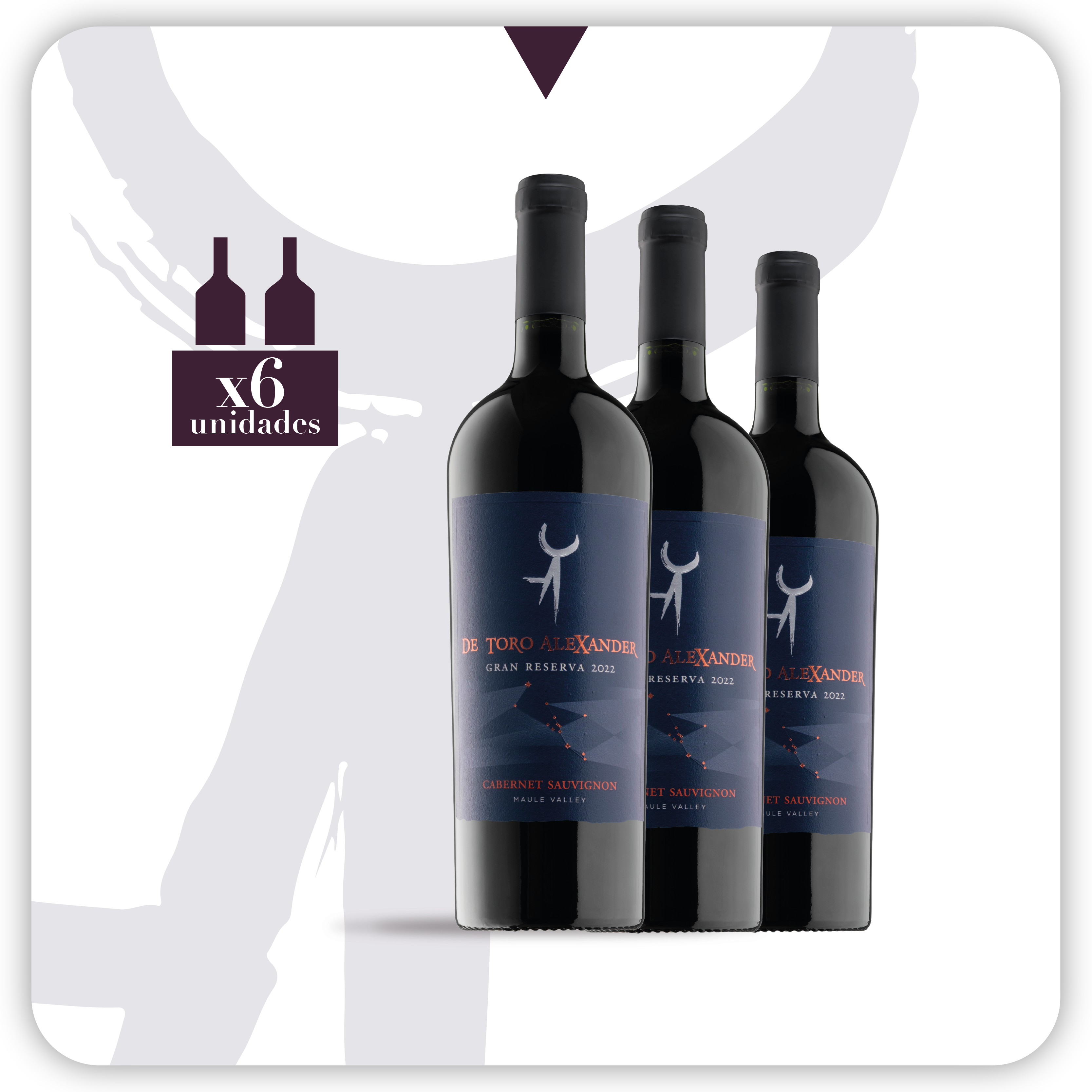 De Toro Alexander Cabernet Sauvignon Gran Reserva 2022 - 6 botellas 750 ml
