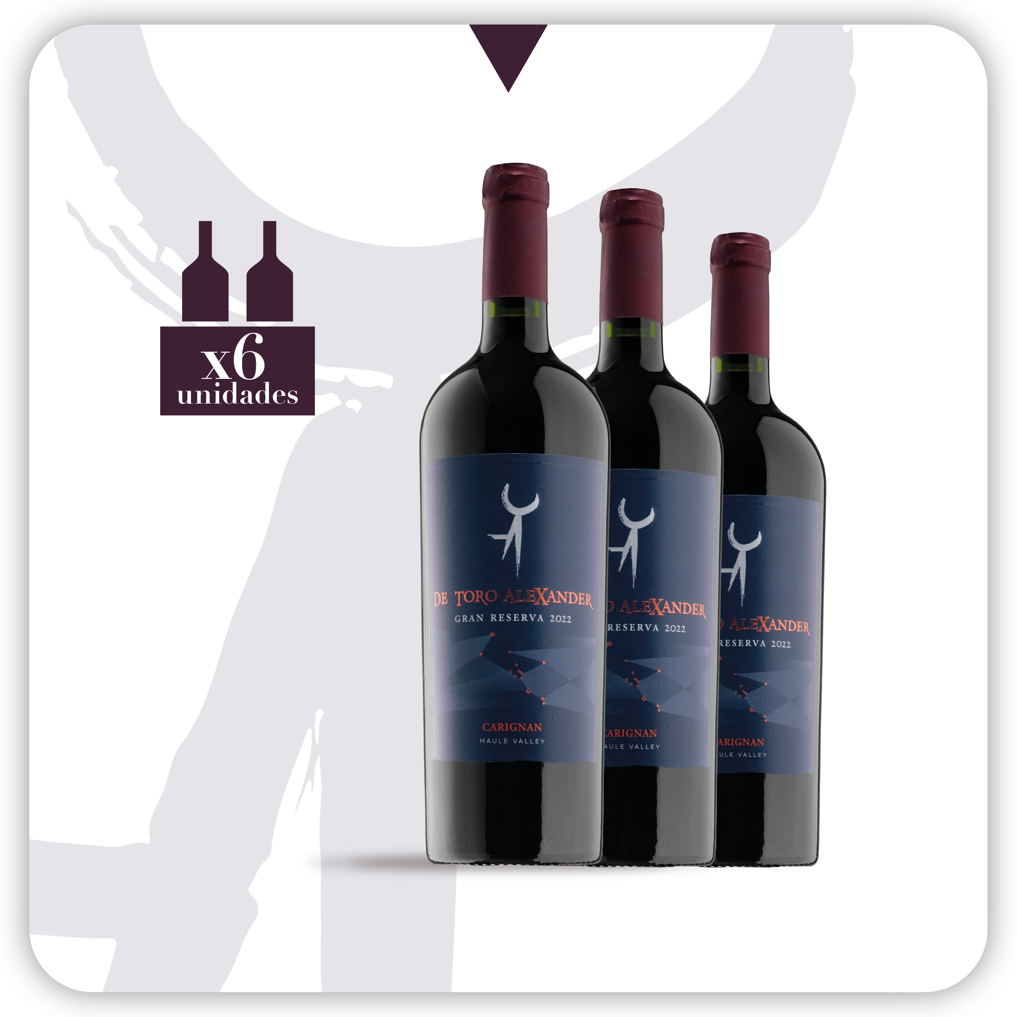 De Toro Alexander Carignan Gran Reserva 2022 - 6 botellas 750 ml