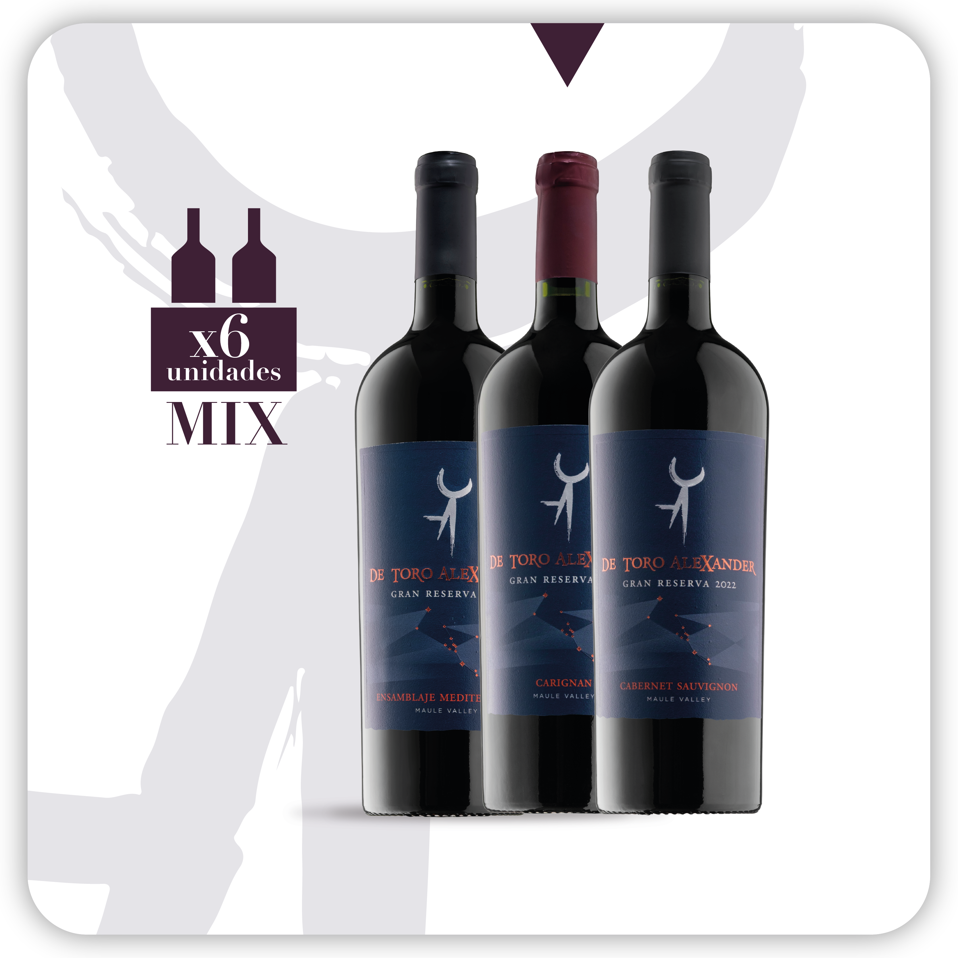 De Toro Alexander Mix Gran Reserva 2022 - 6 botellas 750 ml