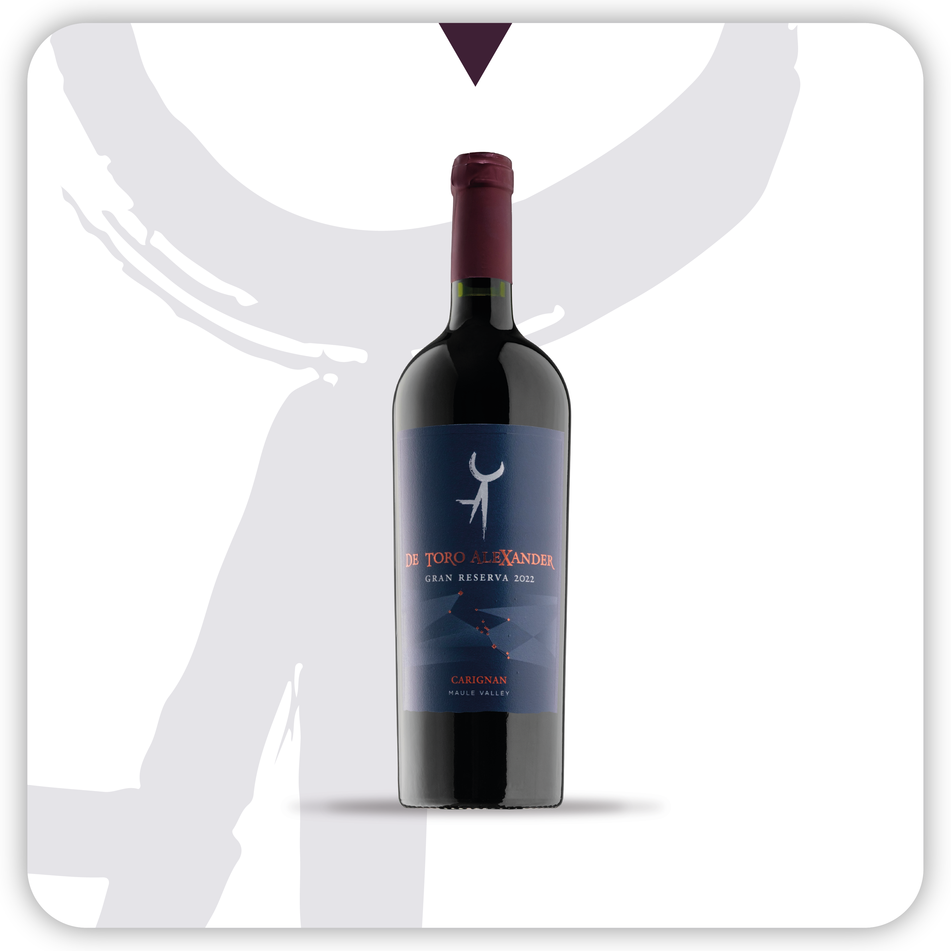 De Toro Alexander Carignan Gran Reserva 2022 - 750 ml