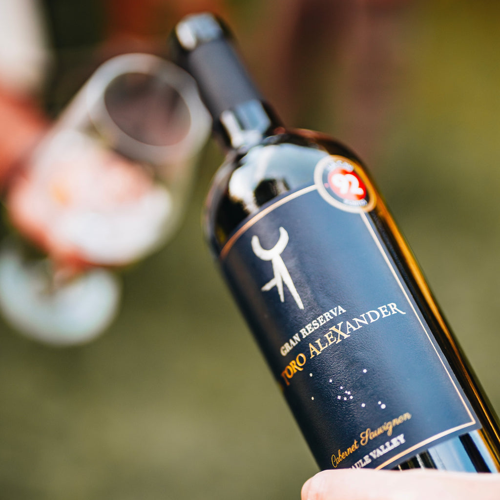 De Toro Alexander Cabernet Sauvignon Gran Reserva 2021 - 750 ml