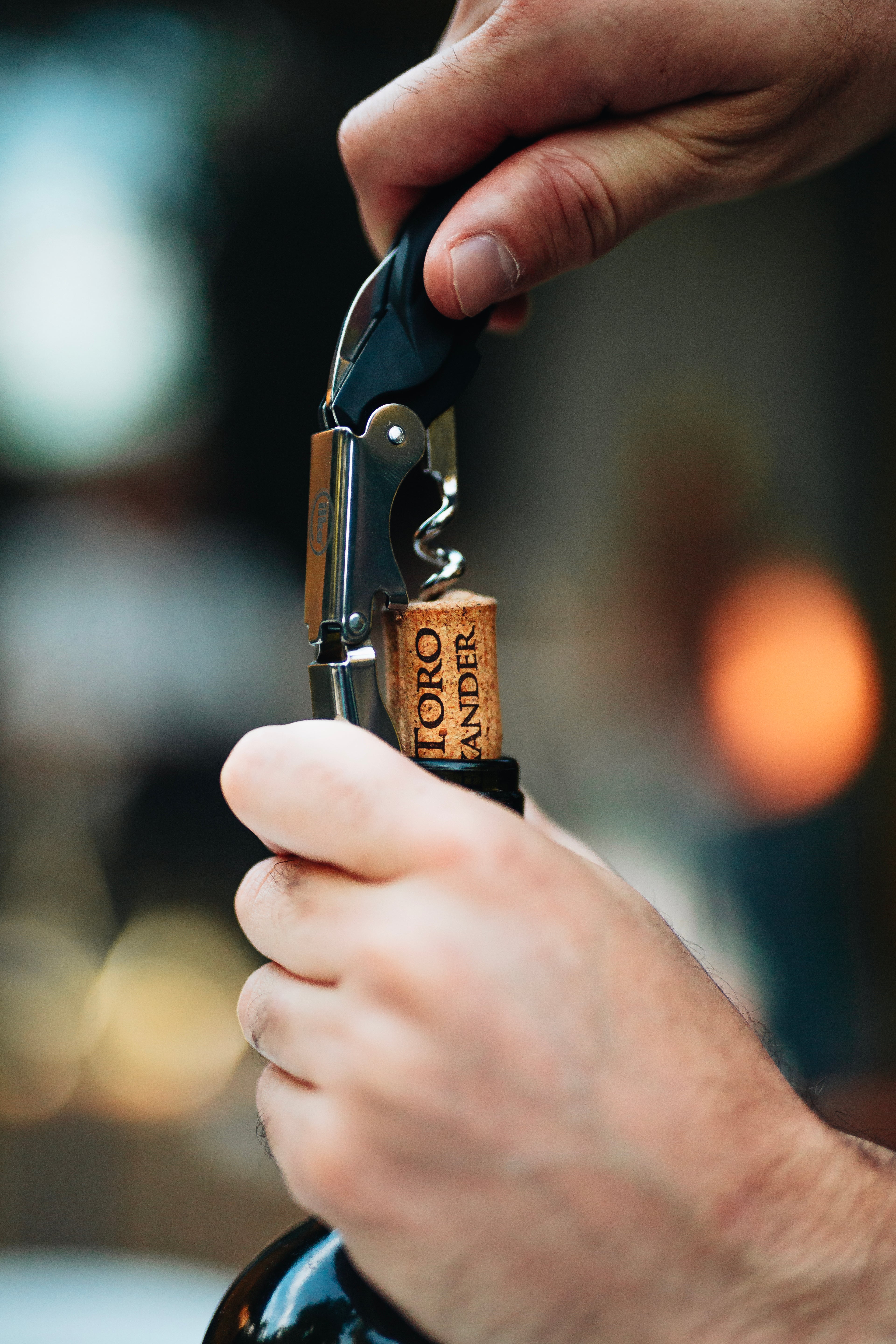 Cabernet Sauvignon 2022 Unoaked