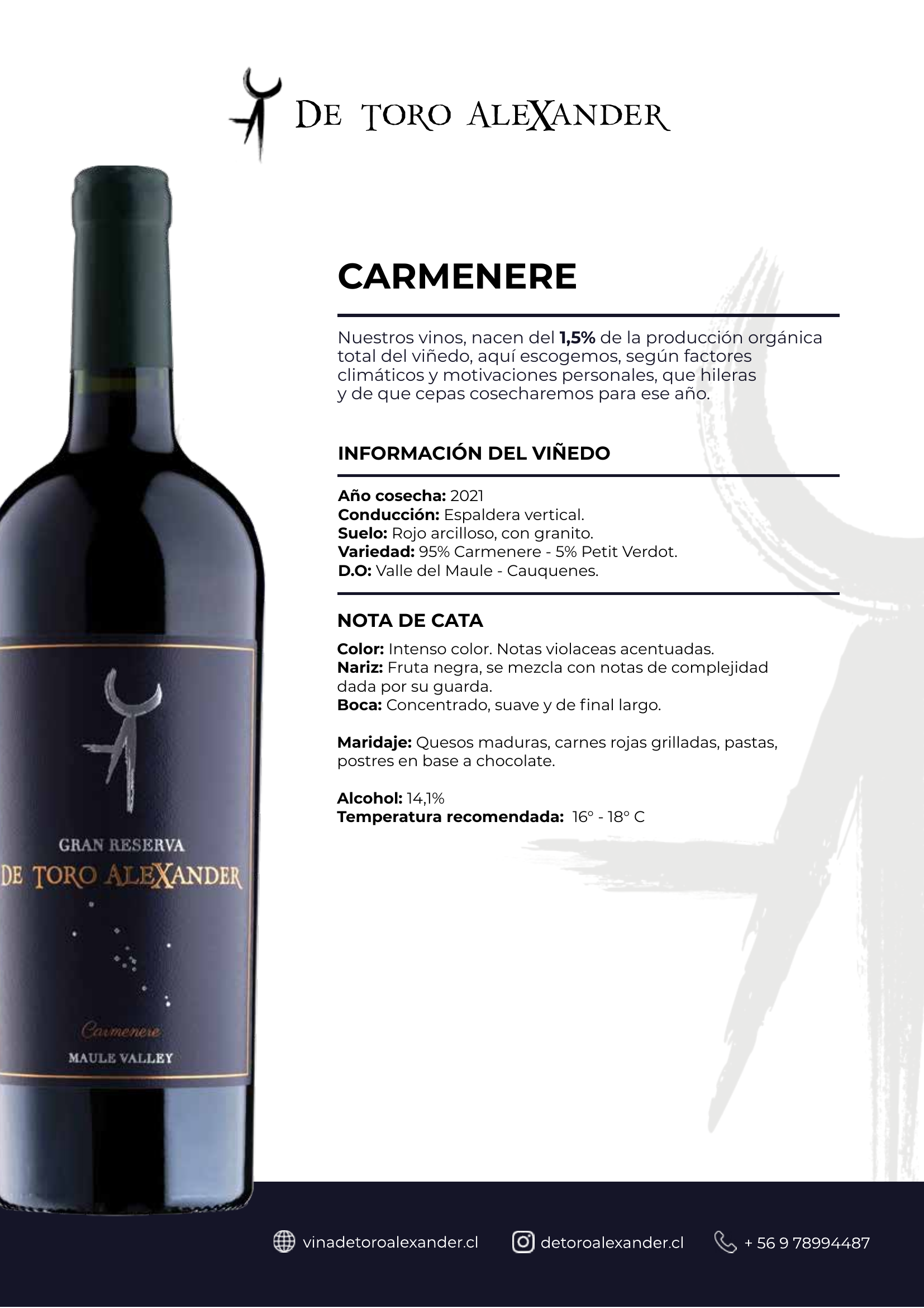 (Cajas 6 botellas) Carmenere Gran Reserva 2021